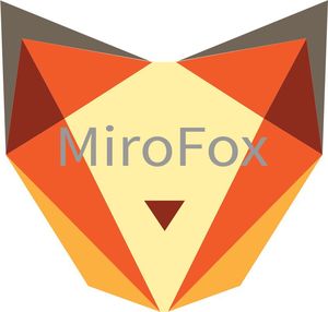День открытых дверей в MiroFox