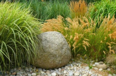 Декоративные травы в дизайне сада с Ириной Пыжиковой