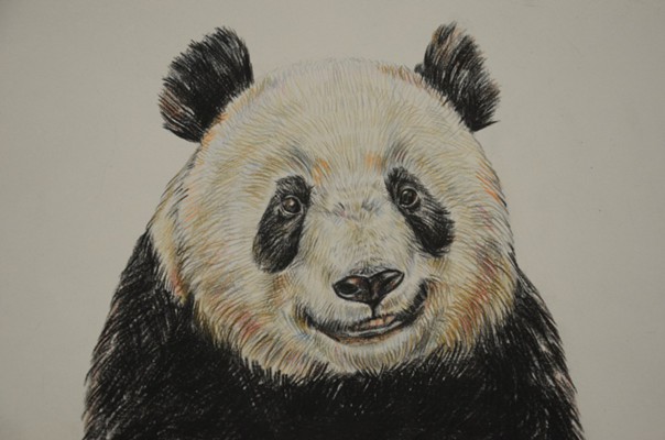 Мастер-класс по рисованию для детей «Панда в тропиках»