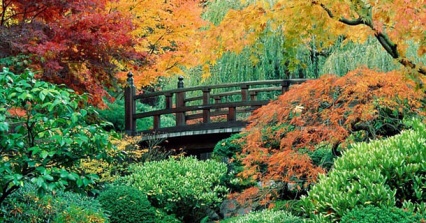 Семинар "История садового искусства Японии"
