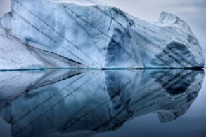 Экскурсия по выставке "Чистая Арктика Себастьяна Коупленда"