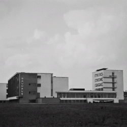 Кинопоказ "Bauhaus: лицо XX века"