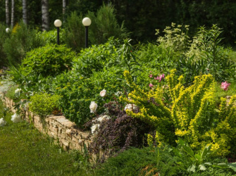 Опыт использования дикорастущих растений при создании частных садов. Каким заказчикам предлагать сад в природном стиле?