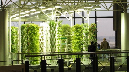 Агрохакатон: Как создать умный сад